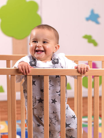 Evacuation Cot